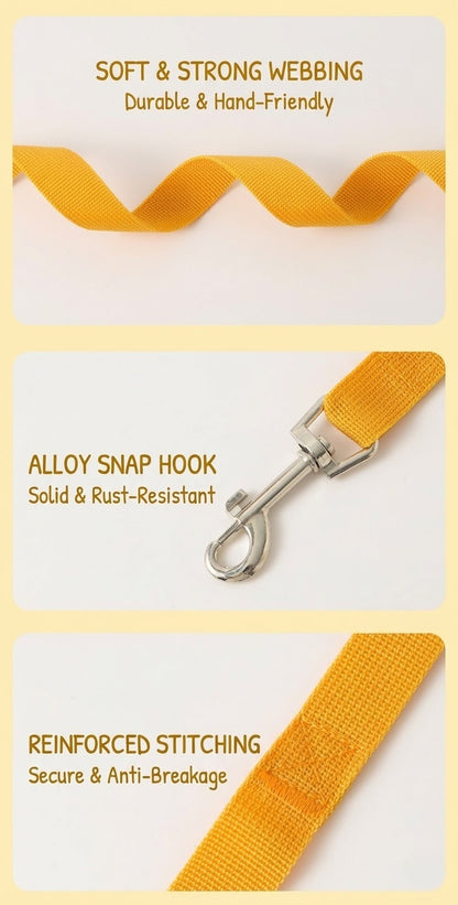 Denim & Gingham Harness & Leash Set