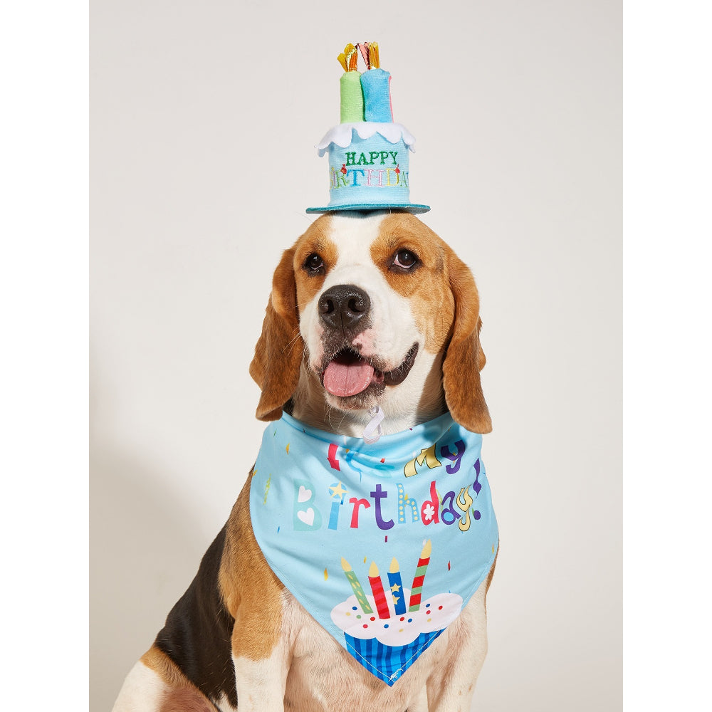Birthday Bandana & Hat Set