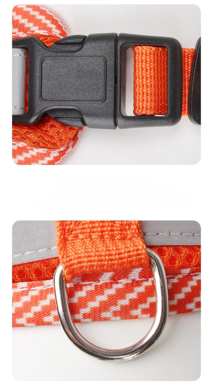 Reflective Mesh Harness & Leash Set