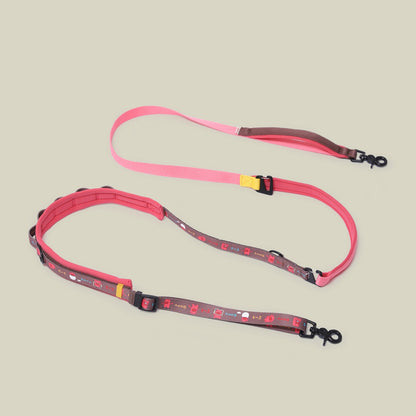 Multi-functional  Dog Leash