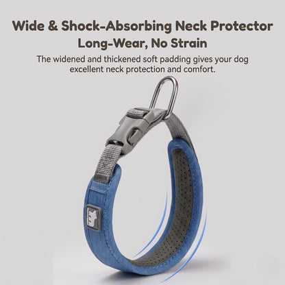 Reflective Padded Collar & Leash Set