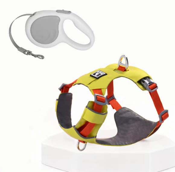 Lightweight Breathable Harness & Leash Set