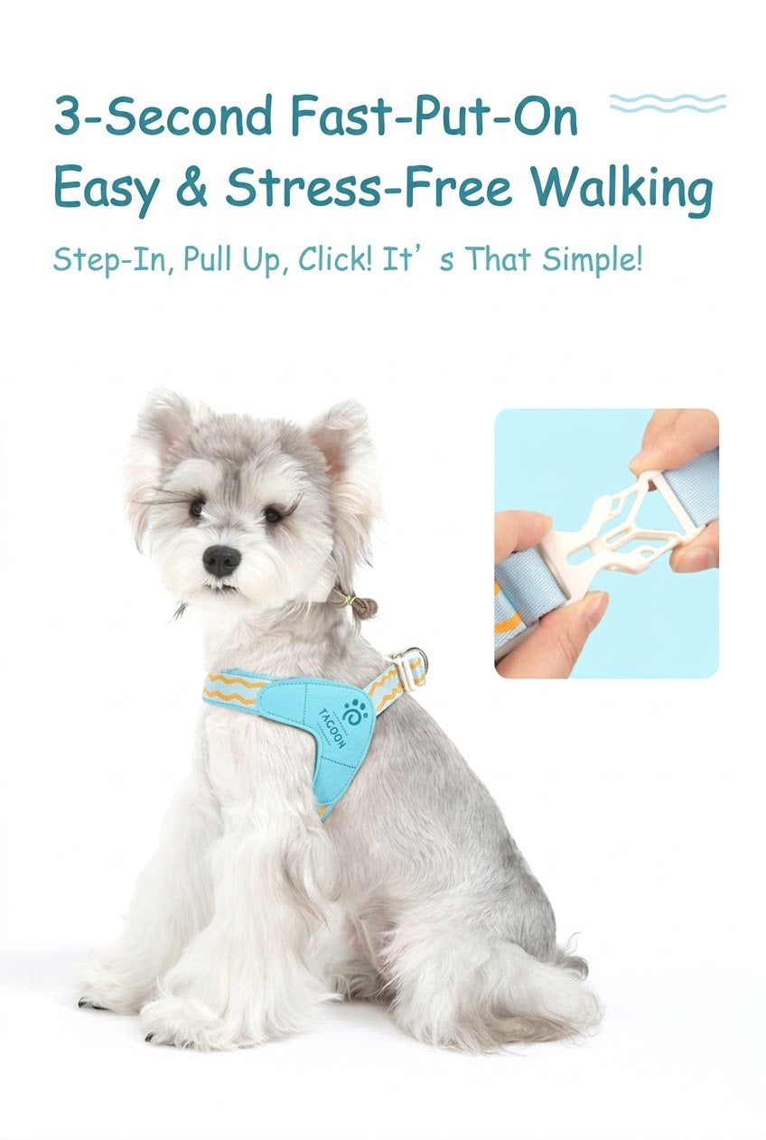 Wave Pattern Harness & Leash Set