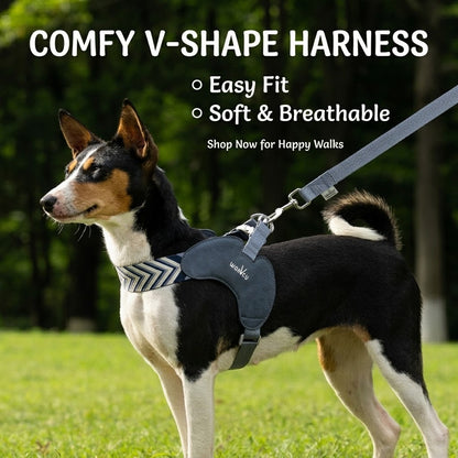 V-Shaped Harness & Leash Set – Sapphire Blue