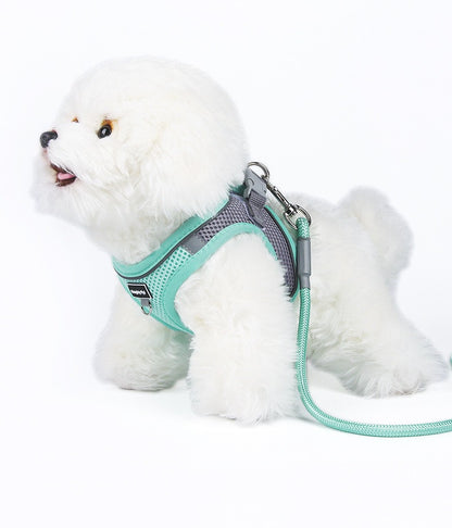 Braided Sponge Handle Dog Leash