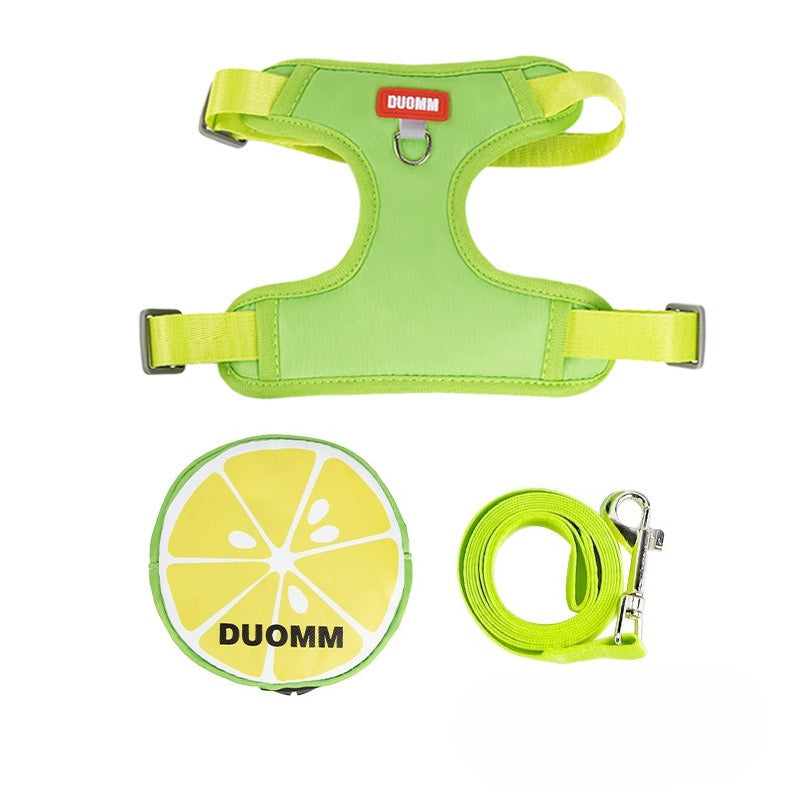 Fruit Pattern Harness, Leash & Backpack Set