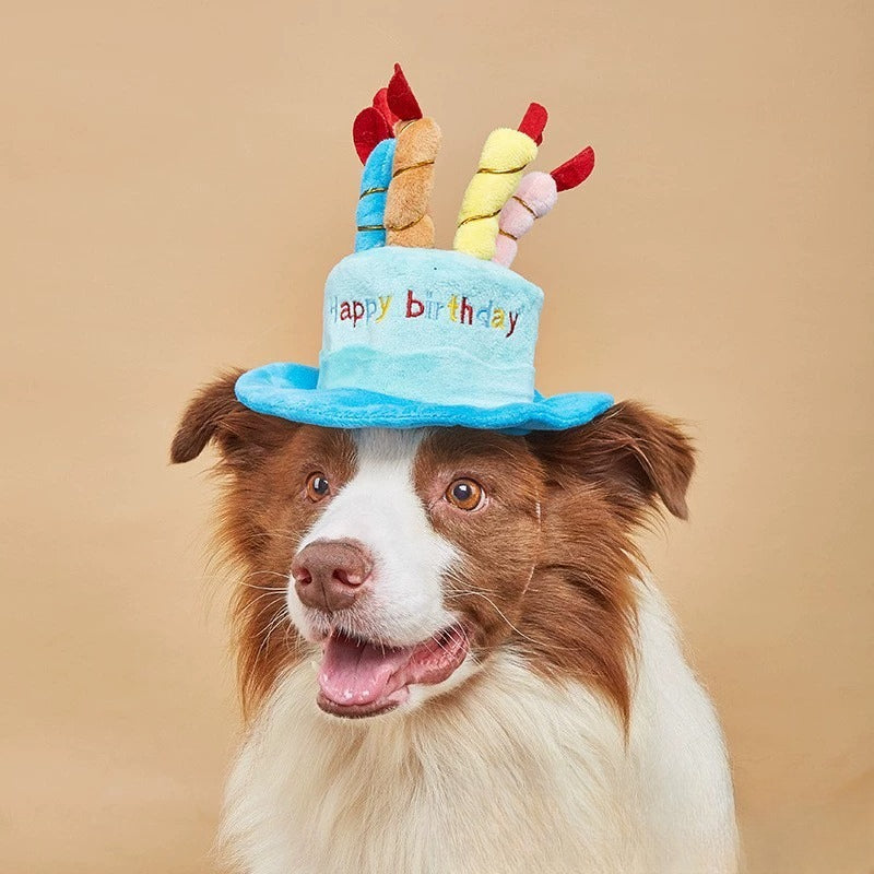 Plush Cake Dog Birthday Accessory