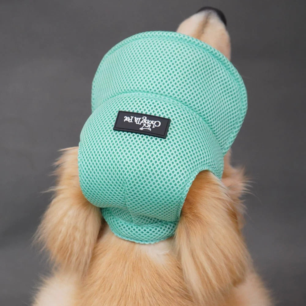 Breathable Mesh Dog Hat