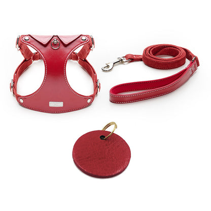 Shirt Collar Harness & Leash Set