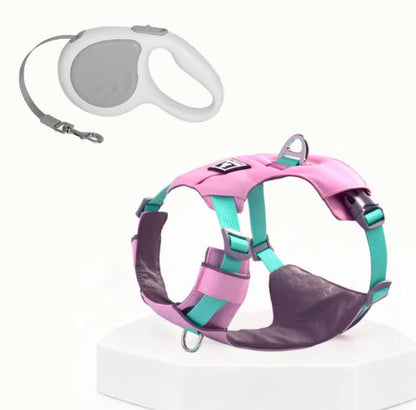 Lightweight Breathable Harness & Leash Set