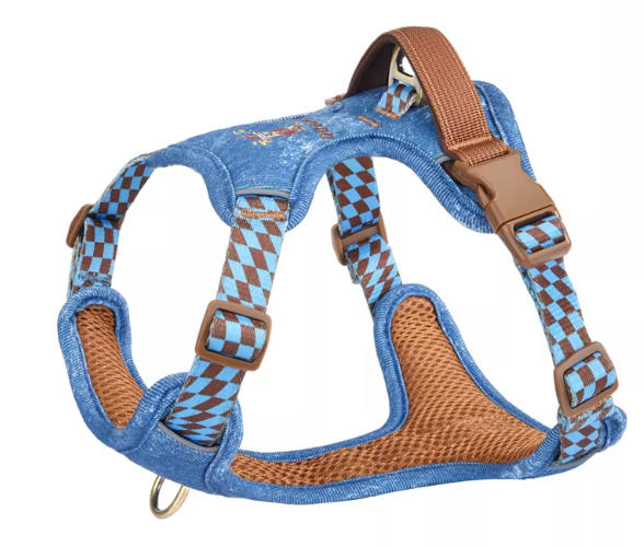 Denim Vest Harness & Leash Set