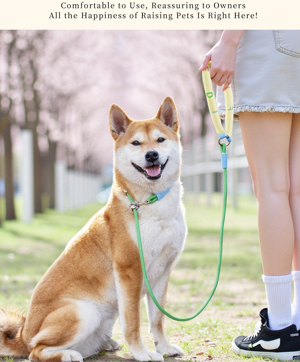 Braided Rope Dog Leash