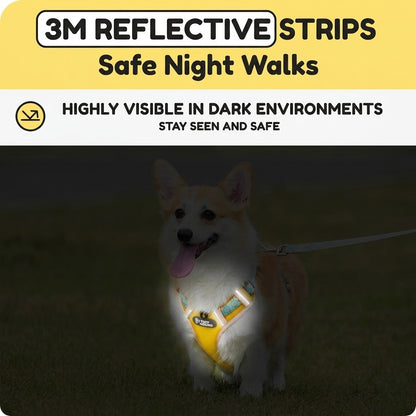 Reflective Mesh Harness & Leash Set