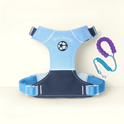 Sports Print Harness & Leash Set