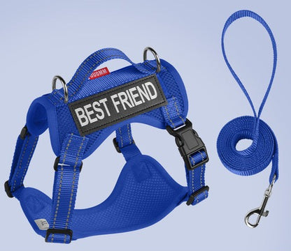Reflective Mesh Harness & Leash Set