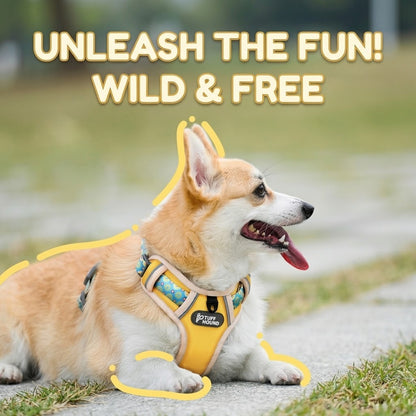 Reflective Mesh Harness & Leash Set