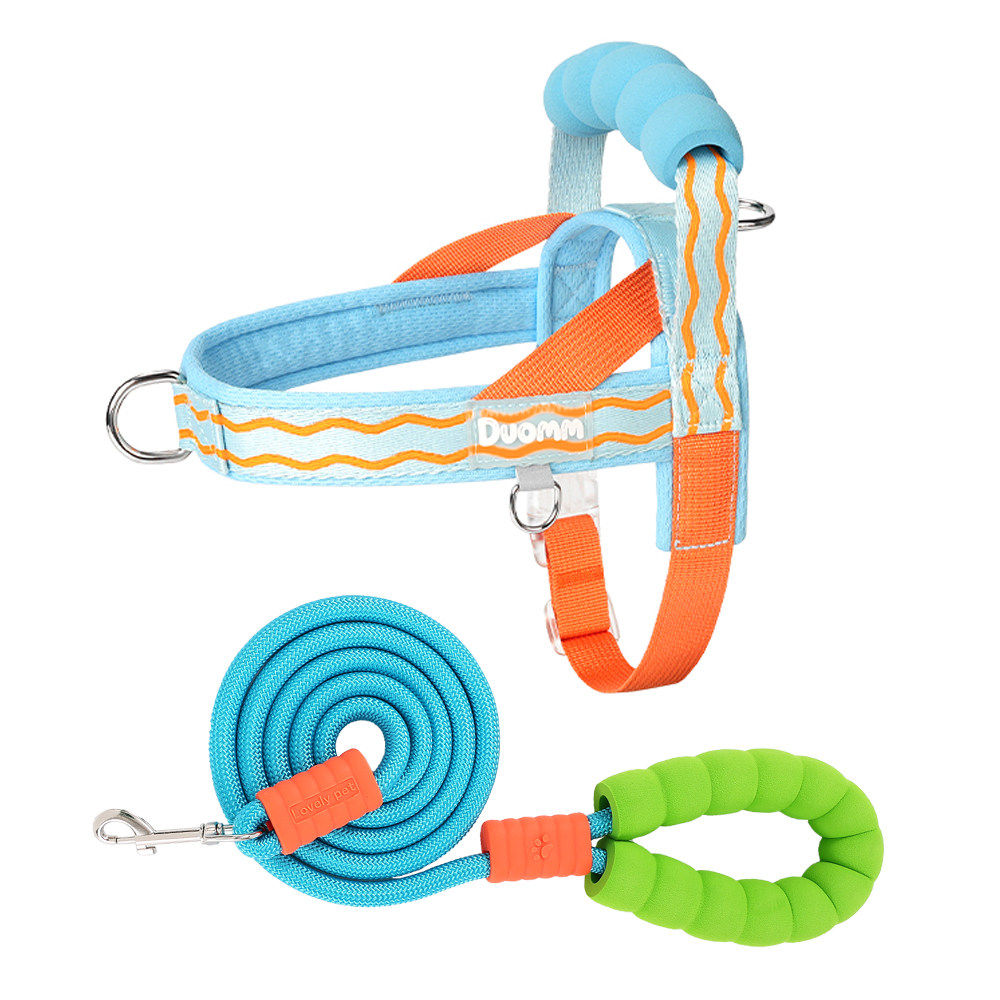 Foam Handle Harness & Leash Set