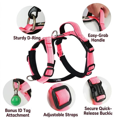 Gradient Harness & Leash Set