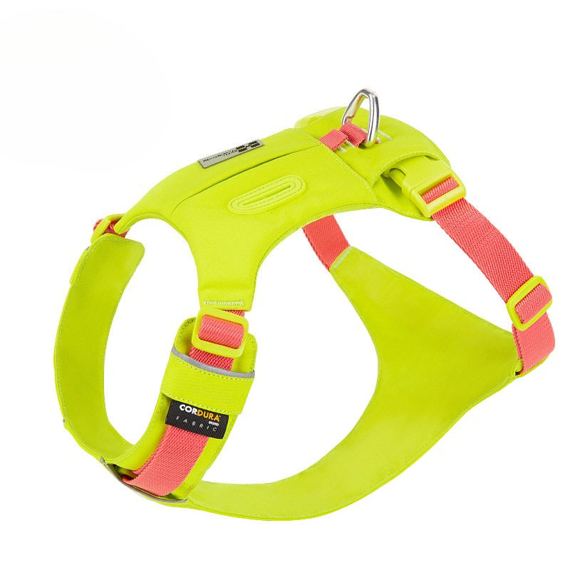 Hidden Pocket Harness & Leash Set