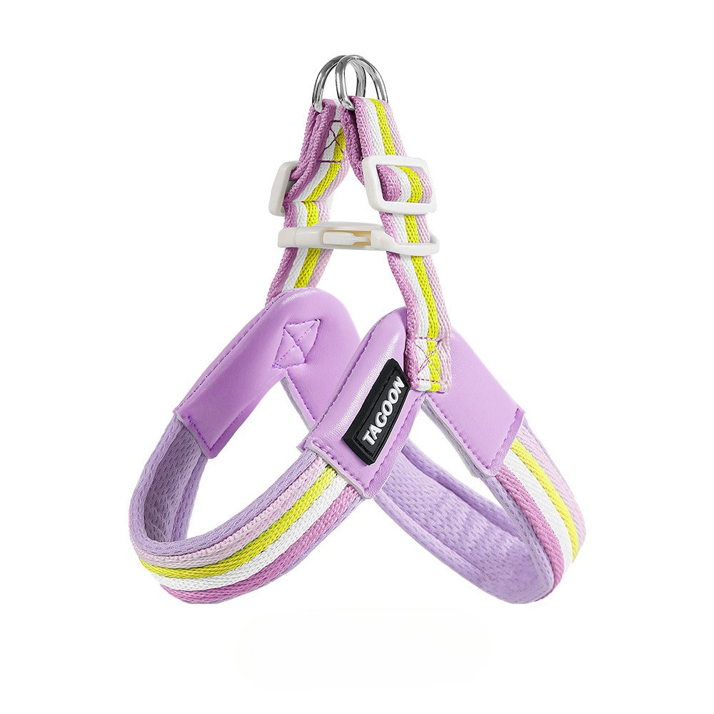 Rainbow V-Shaped Harness & Leash Set