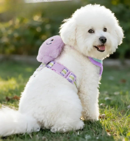 Plush Doll Harness & Leash Set