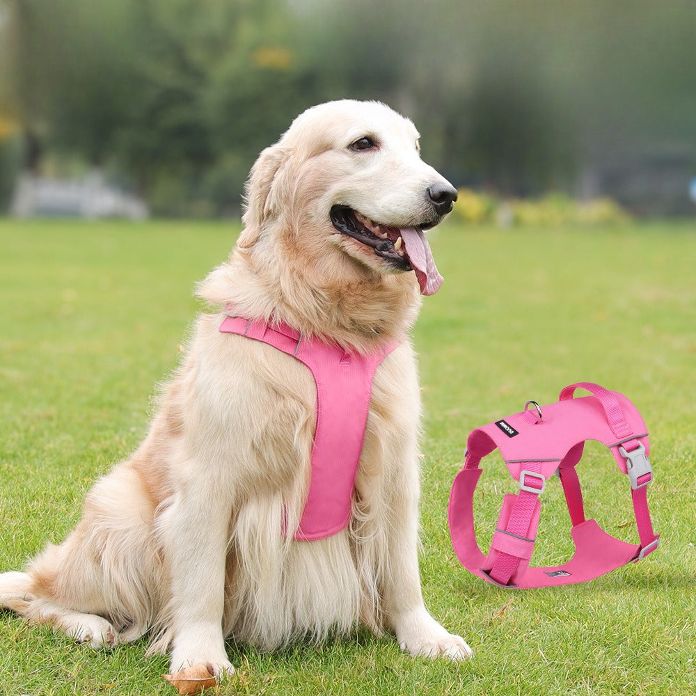 Reflective Lightweight Dog Harness & Leash Set