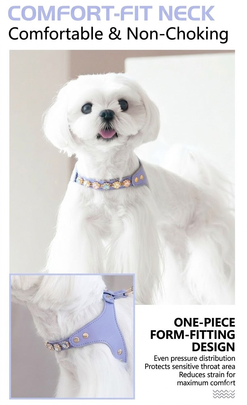 Sparkle Rhinestone Harness & Leash Set