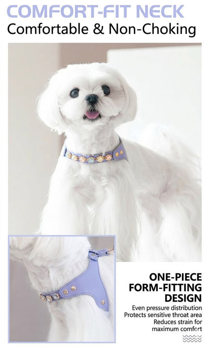Sparkle Rhinestone Harness & Leash Set