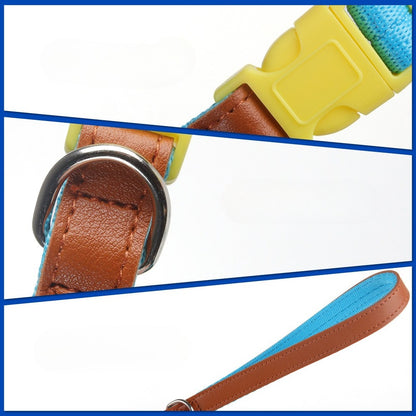 Two-Tone Dog Accessory Set for Dogs – Multi