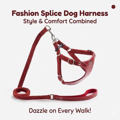 Shirt Collar Harness & Leash Set