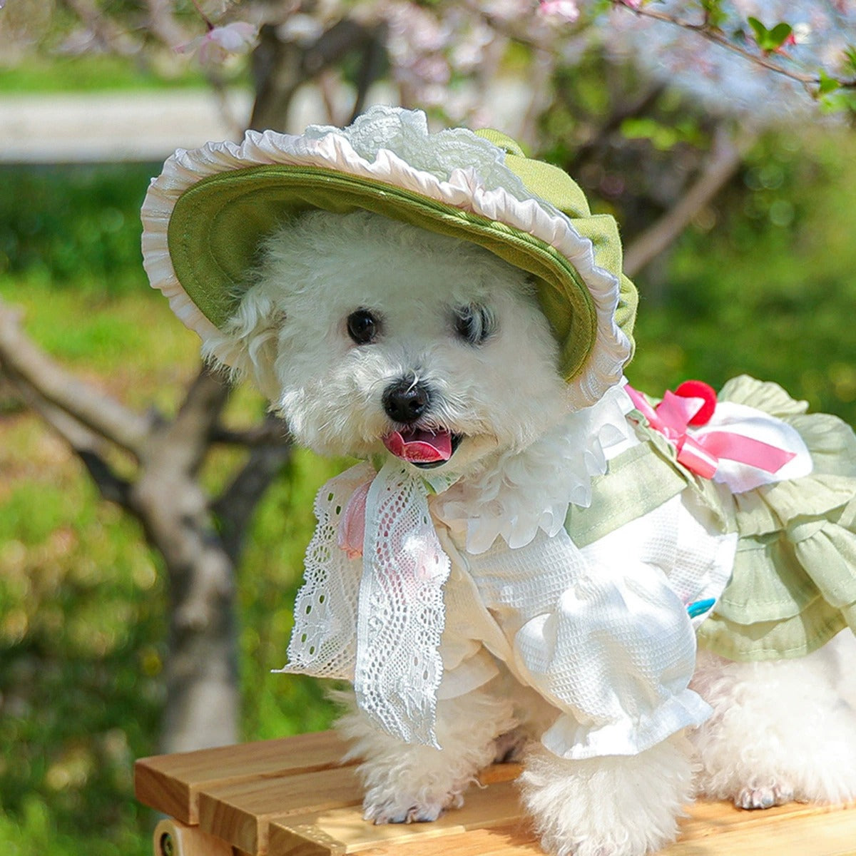 Adjustable Outdoor Dog Hat