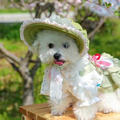 Adjustable Outdoor Dog Hat