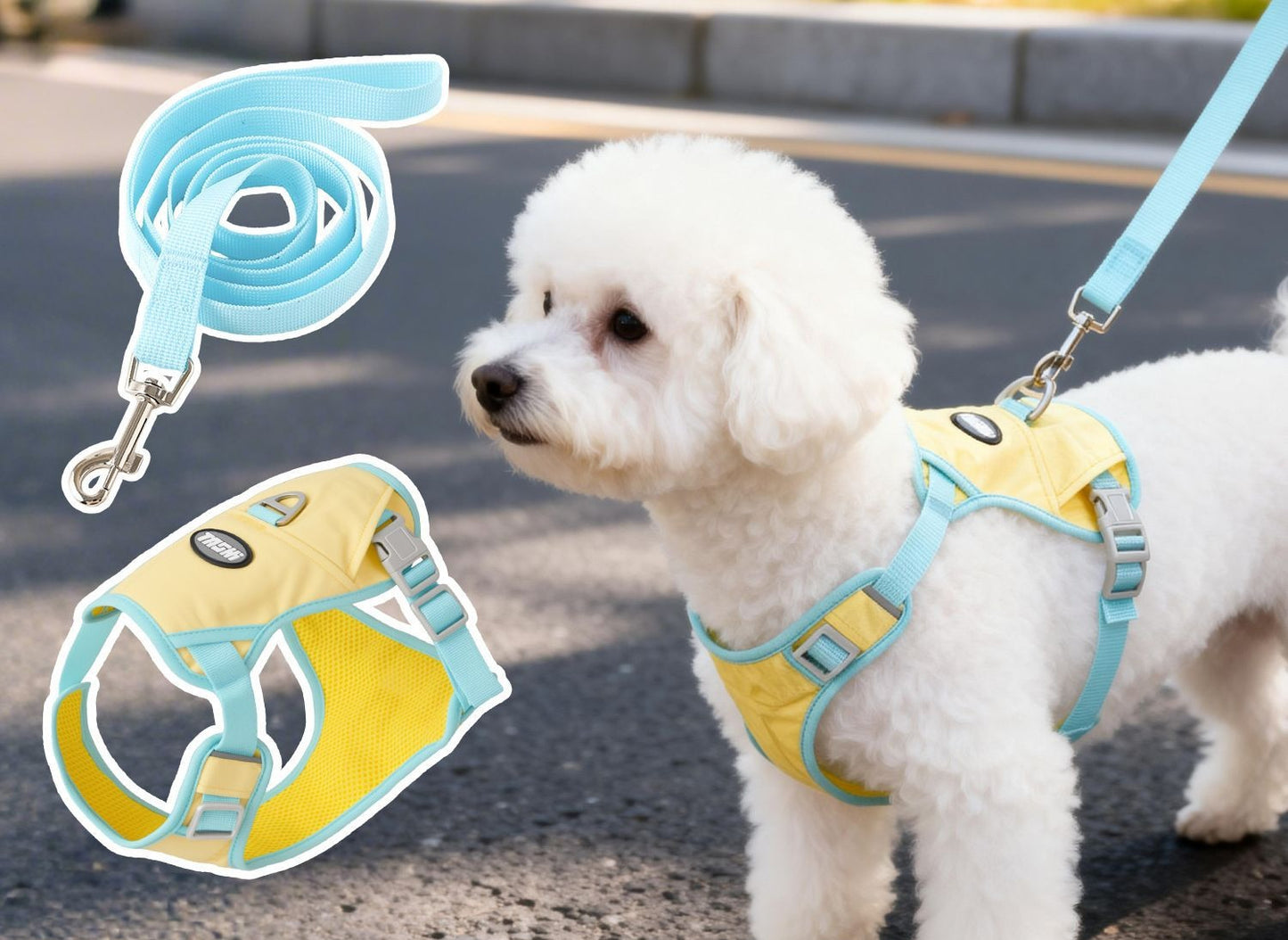 Lightweight Mesh Harness & Leash Set