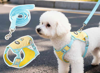 Lightweight Mesh Harness & Leash Set