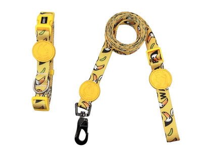 Patterned Accessory Set for Dogs – Multi-Color