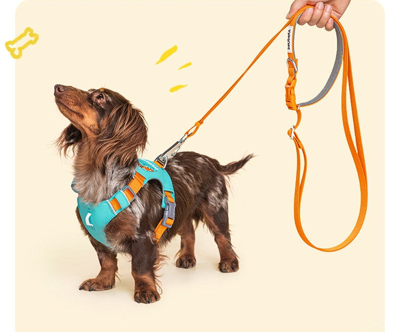 Embroidered Harness & Leash Set