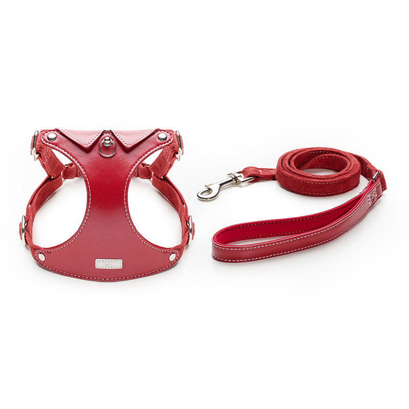 Shirt Collar Harness & Leash Set