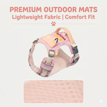 Plaid Harness & Leash Set