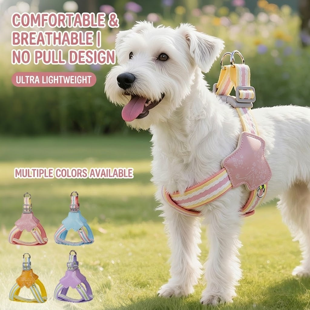 Floral Harness & Leash Set