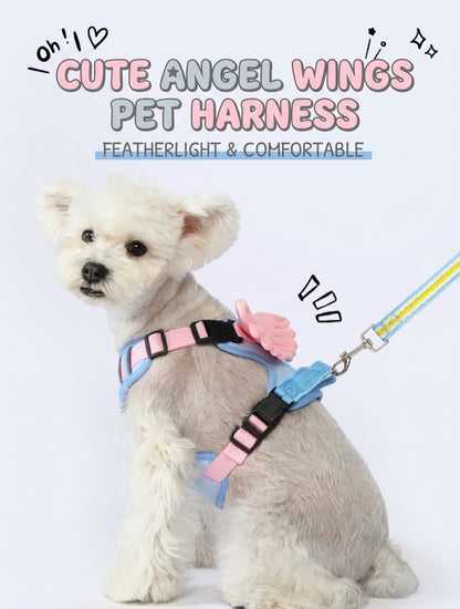 Angel & Devil Wing Harness & Leash Set