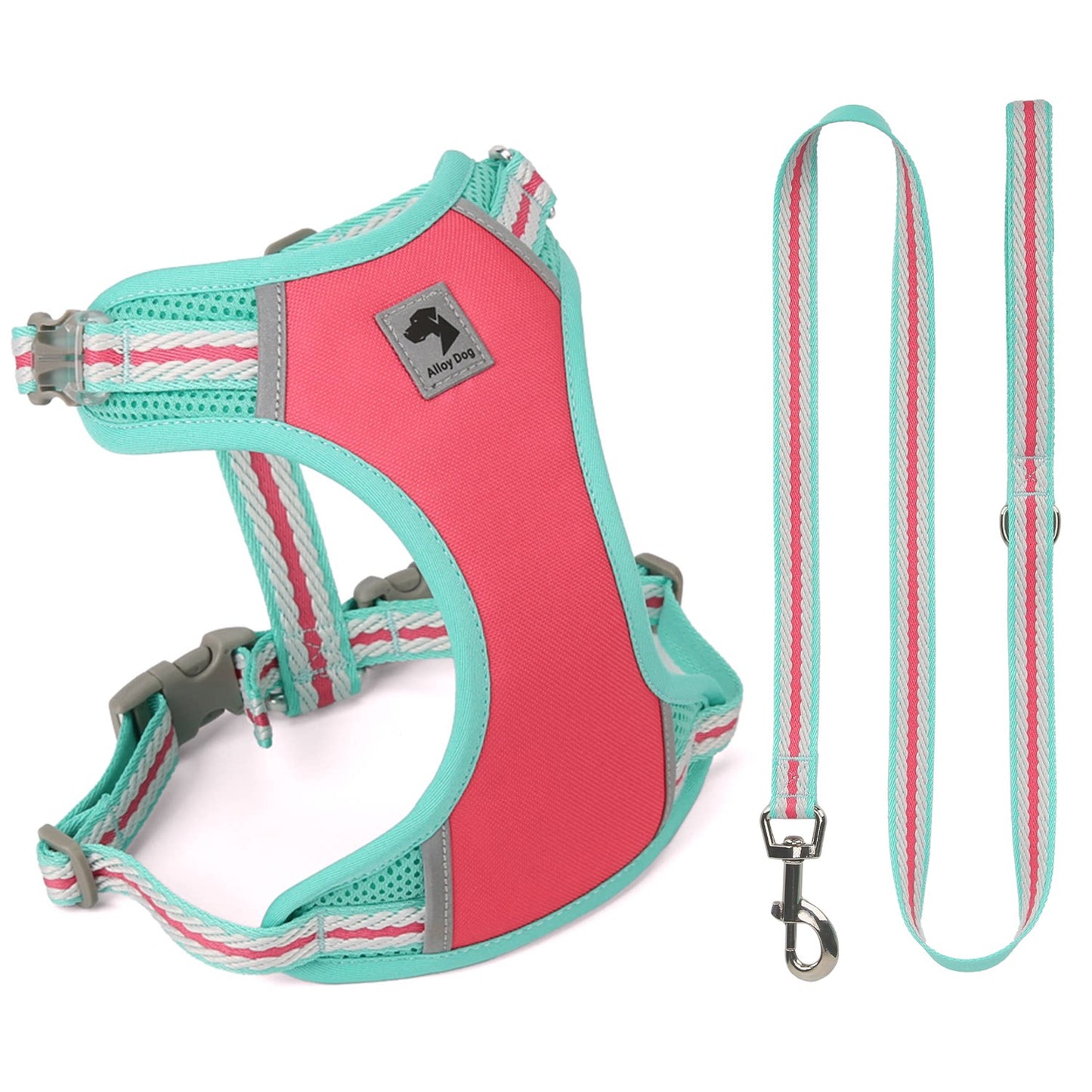 Reflective Mesh Harness & Leash Set