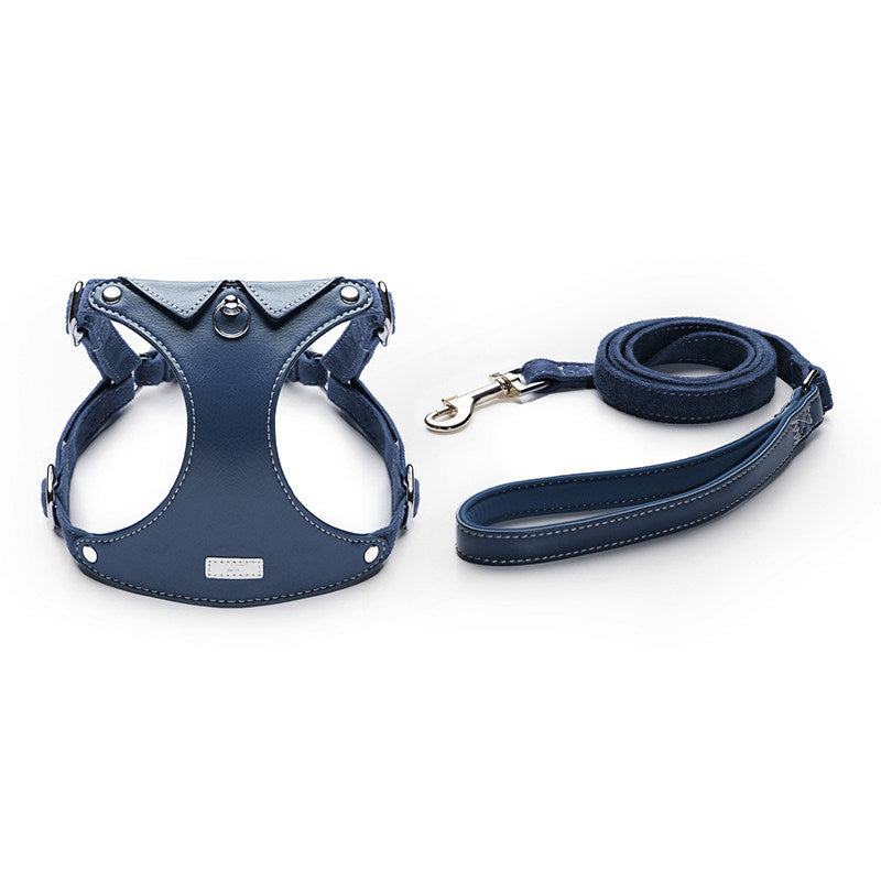 Shirt Collar Harness & Leash Set
