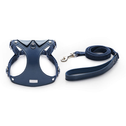 Shirt Collar Harness & Leash Set