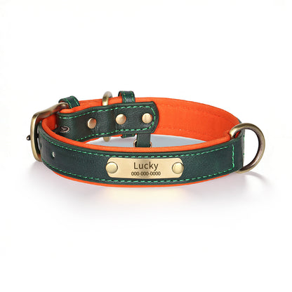 Personalized Dog Collar & Leash Set