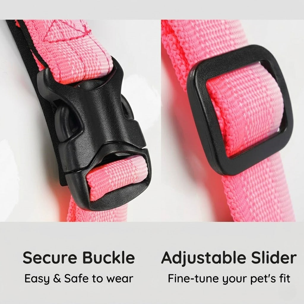 Gradient Harness & Leash Set