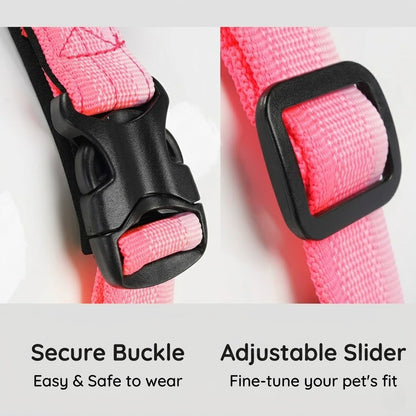 Gradient Harness & Leash Set
