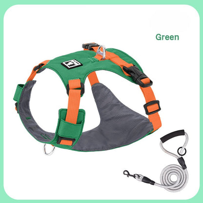 Lightweight Harness & Leash Set