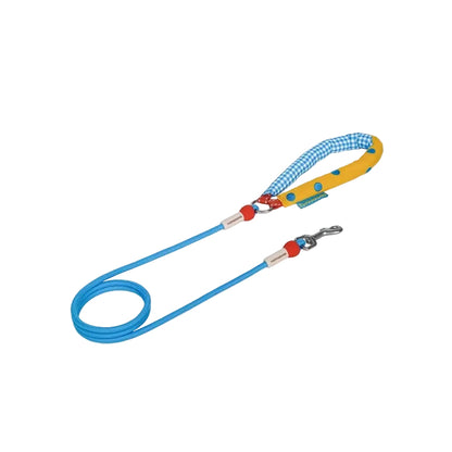 Retro Plaid Dog Leash