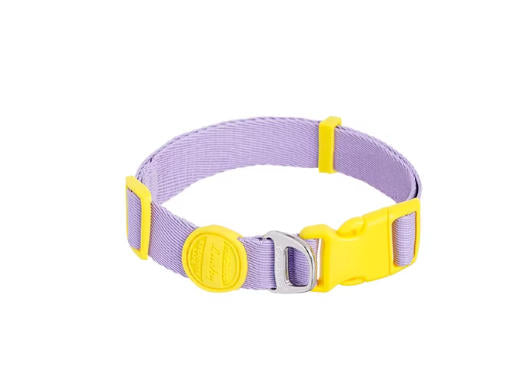 Soft Nylon Collar & Leash Set