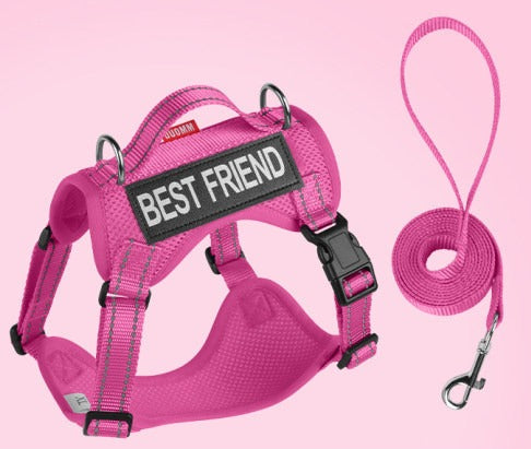 Reflective Mesh Harness & Leash Set
